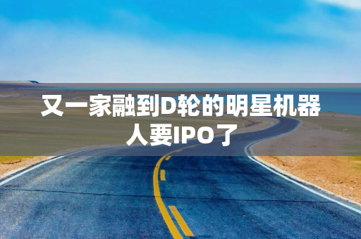 又一家融到D轮的明星机器人要IPO了