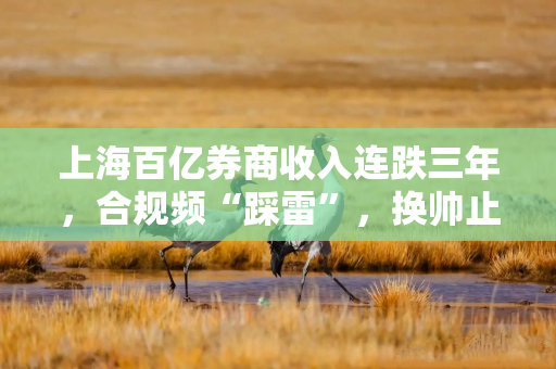 上海百亿券商收入连跌三年，合规频“踩雷”，换帅止跌？