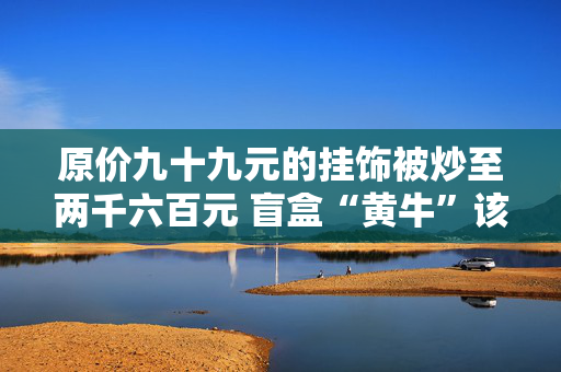 原价九十九元的挂饰被炒至两千六百元 盲盒“黄牛”该如何治理？