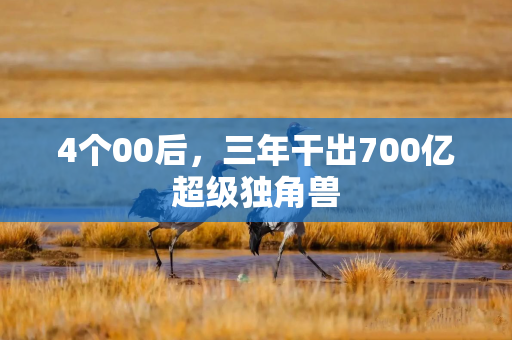 4个00后，三年干出700亿超级独角兽