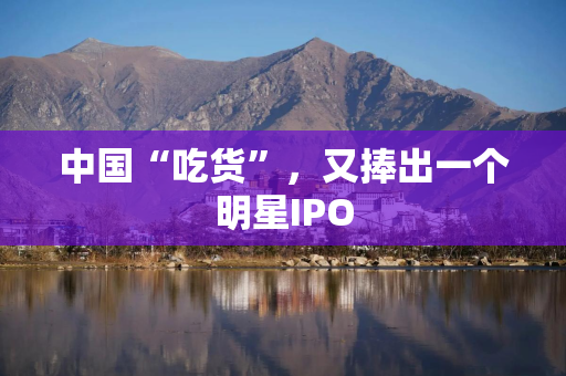 中国“吃货”，又捧出一个明星IPO