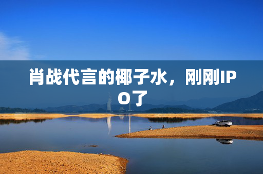 肖战代言的椰子水，刚刚IPO了