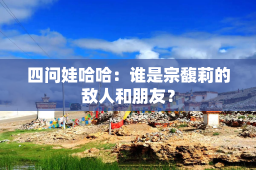 四问娃哈哈：谁是宗馥莉的敌人和朋友？