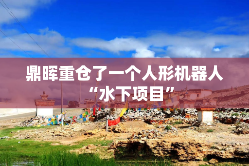 鼎晖重仓了一个人形机器人“水下项目”