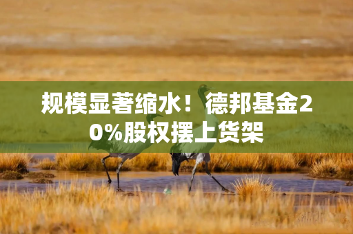 规模显著缩水！德邦基金20%股权摆上货架