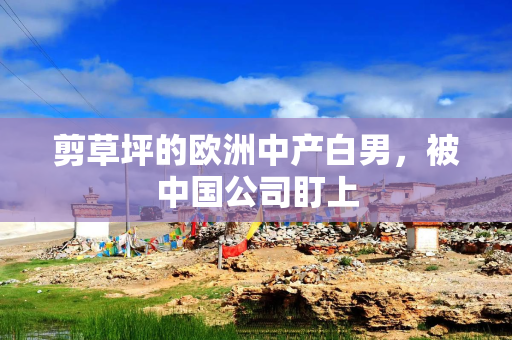 剪草坪的欧洲中产白男，被中国公司盯上
