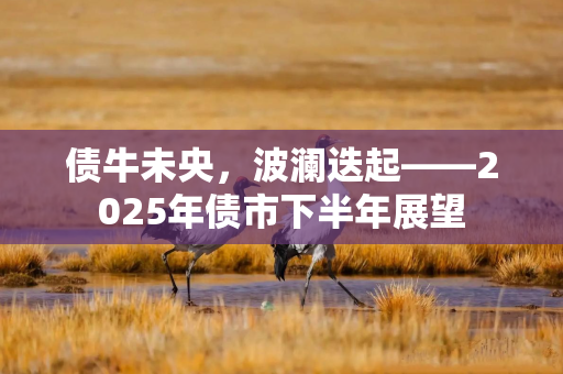 债牛未央，波澜迭起——2025年债市下半年展望