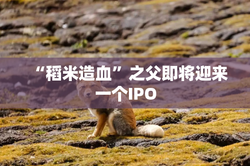 “稻米造血”之父即将迎来一个IPO