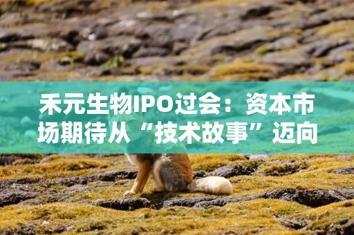 禾元生物IPO过会：资本市场期待从“技术故事”迈向“盈利现实“