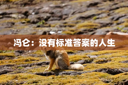 冯仑：没有标准答案的人生