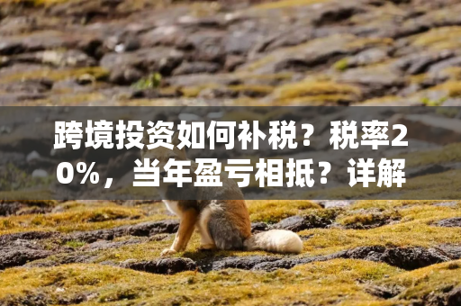 跨境投资如何补税？税率20%，当年盈亏相抵？详解来了