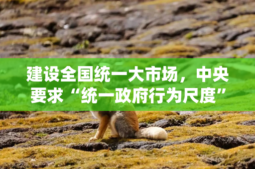 建设全国统一大市场，中央要求“统一政府行为尺度”！路线图更清晰！