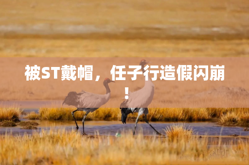 被ST戴帽，任子行造假闪崩！