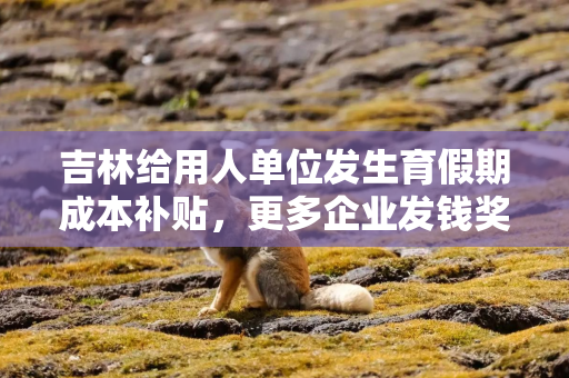 吉林给用人单位发生育假期成本补贴，更多企业发钱奖励生娃