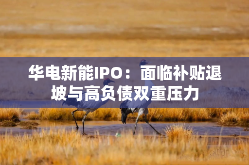 华电新能IPO：面临补贴退坡与高负债双重压力