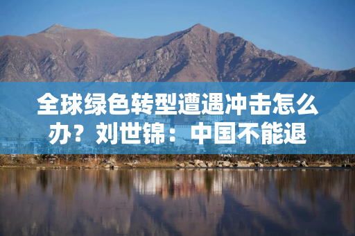 全球绿色转型遭遇冲击怎么办？刘世锦：中国不能退