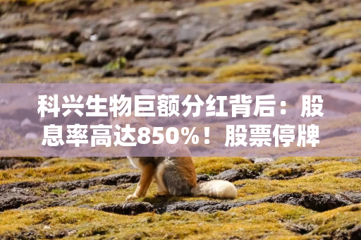 科兴生物巨额分红背后：股息率高达850%！股票停牌已超6年