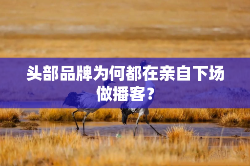 头部品牌为何都在亲自下场做播客？