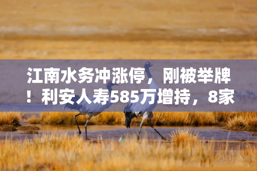 江南水务冲涨停，刚被举牌！利安人寿585万增持，8家险企扫货高息股