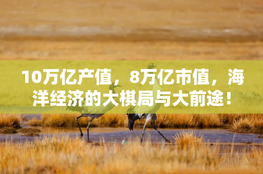 10万亿产值，8万亿市值，海洋经济的大棋局与大前途！