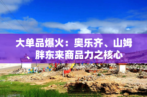 大单品爆火：奥乐齐、山姆、胖东来商品力之核心