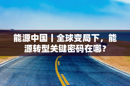 能源中国丨全球变局下，能源转型关键密码在哪？