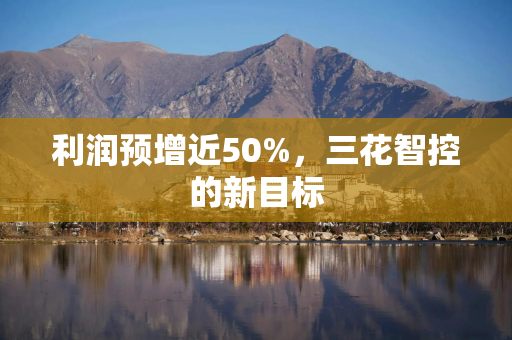 利润预增近50%，三花智控的新目标