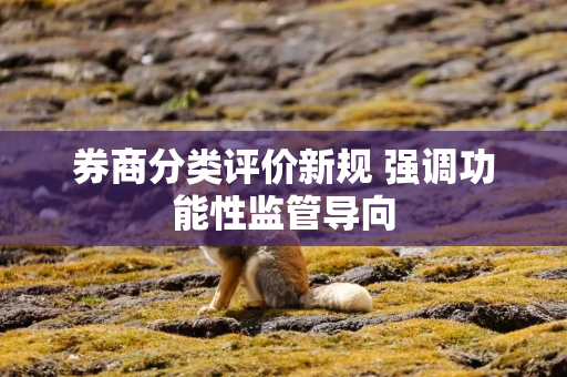 券商分类评价新规 强调功能性监管导向