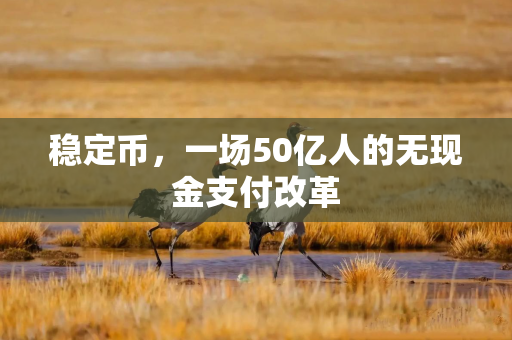 稳定币，一场50亿人的无现金支付改革