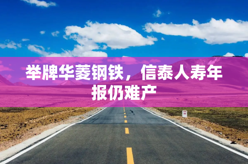 举牌华菱钢铁，信泰人寿年报仍难产