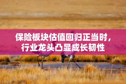 保险板块估值回归正当时，行业龙头凸显成长韧性
