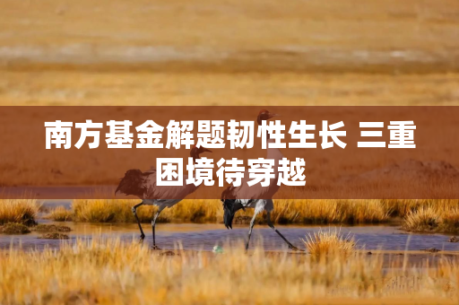 南方基金解题韧性生长 三重困境待穿越