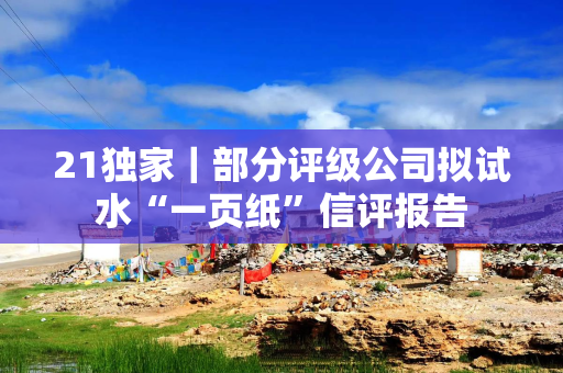 21独家｜部分评级公司拟试水“一页纸”信评报告