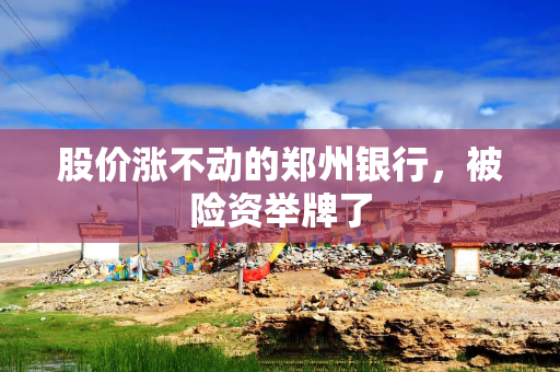 股价涨不动的郑州银行，被险资举牌了