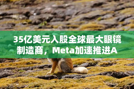35亿美元入股全球最大眼镜制造商，Meta加速推进AI眼镜业务