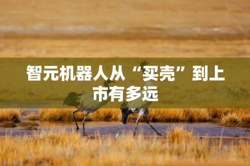 智元机器人从“买壳”到上市有多远