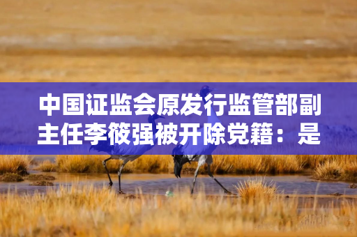 中国证监会原发行监管部副主任李筱强被开除党籍：是政商“旋转门”腐败的典型
