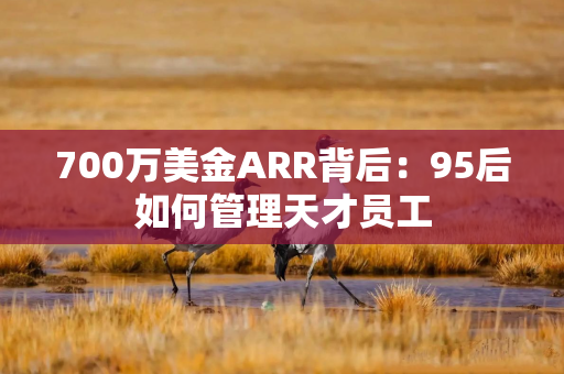 700万美金ARR背后：95后如何管理天才员工