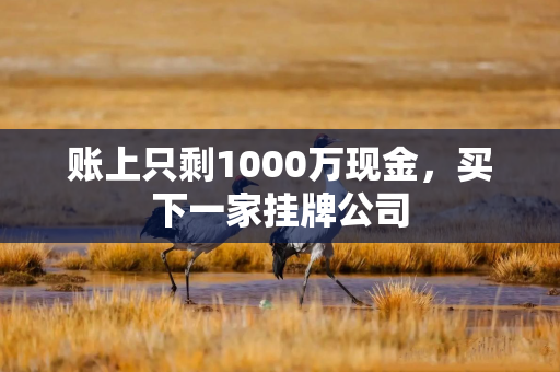 账上只剩1000万现金，买下一家挂牌公司