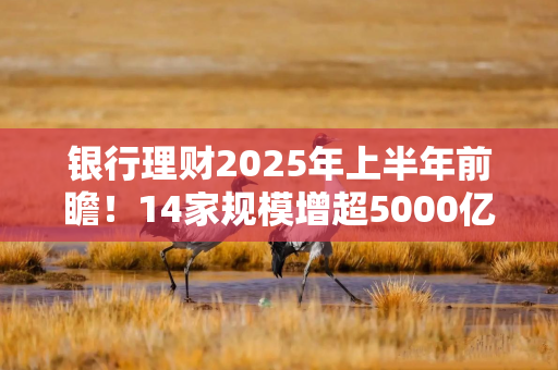 银行理财2025年上半年前瞻！14家规模增超5000亿元，现金管理产品大缩水，权益配置有了新途径
