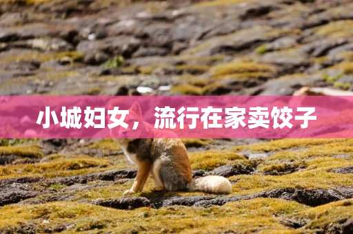 小城妇女，流行在家卖饺子