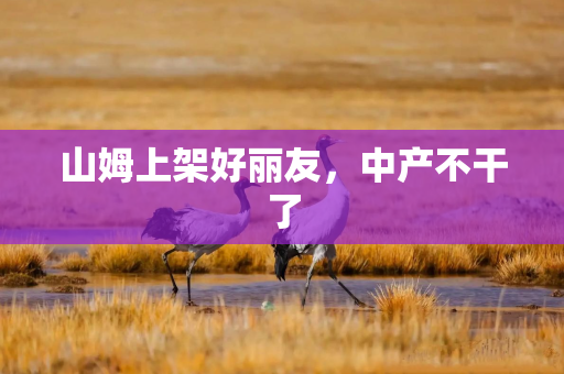 山姆上架好丽友，中产不干了