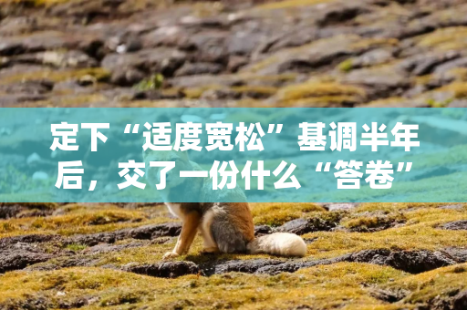定下“适度宽松”基调半年后，交了一份什么“答卷”？