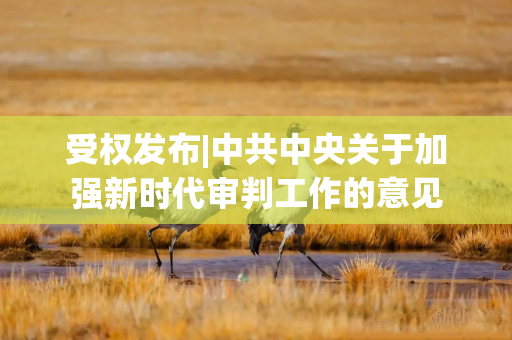受权发布|中共中央关于加强新时代审判工作的意见