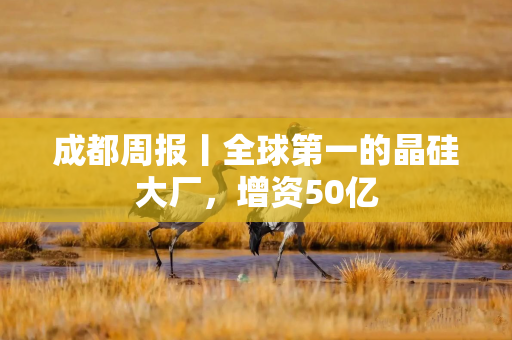 成都周报丨全球第一的晶硅大厂，增资50亿