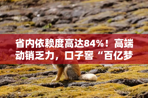 省内依赖度高达84%！高端动销乏力，口子窖“百亿梦”遭遇强阻？