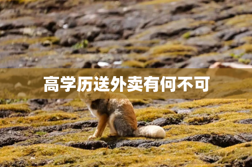 高学历送外卖有何不可