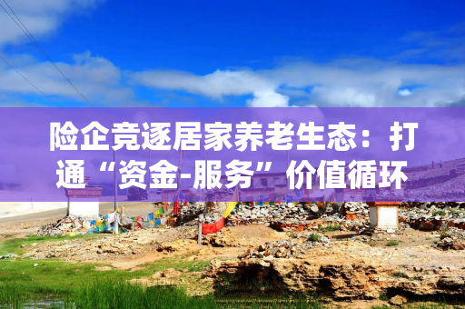 险企竞逐居家养老生态：打通“资金-服务”价值循环链，覆盖“医护住娱”等多维场景