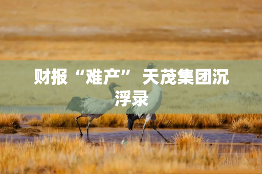 财报“难产” 天茂集团沉浮录