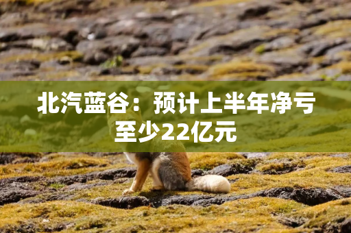北汽蓝谷：预计上半年净亏至少22亿元